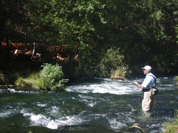 Burney Creek has been good