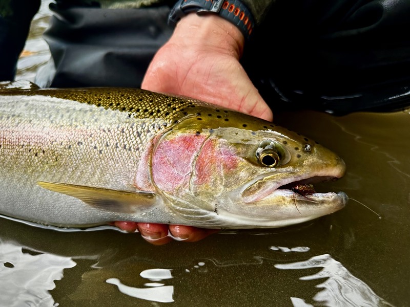 Trinity River Fishing Image