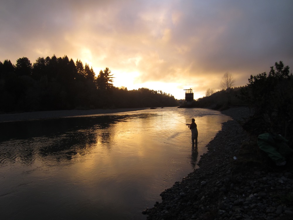 Coastal winter light