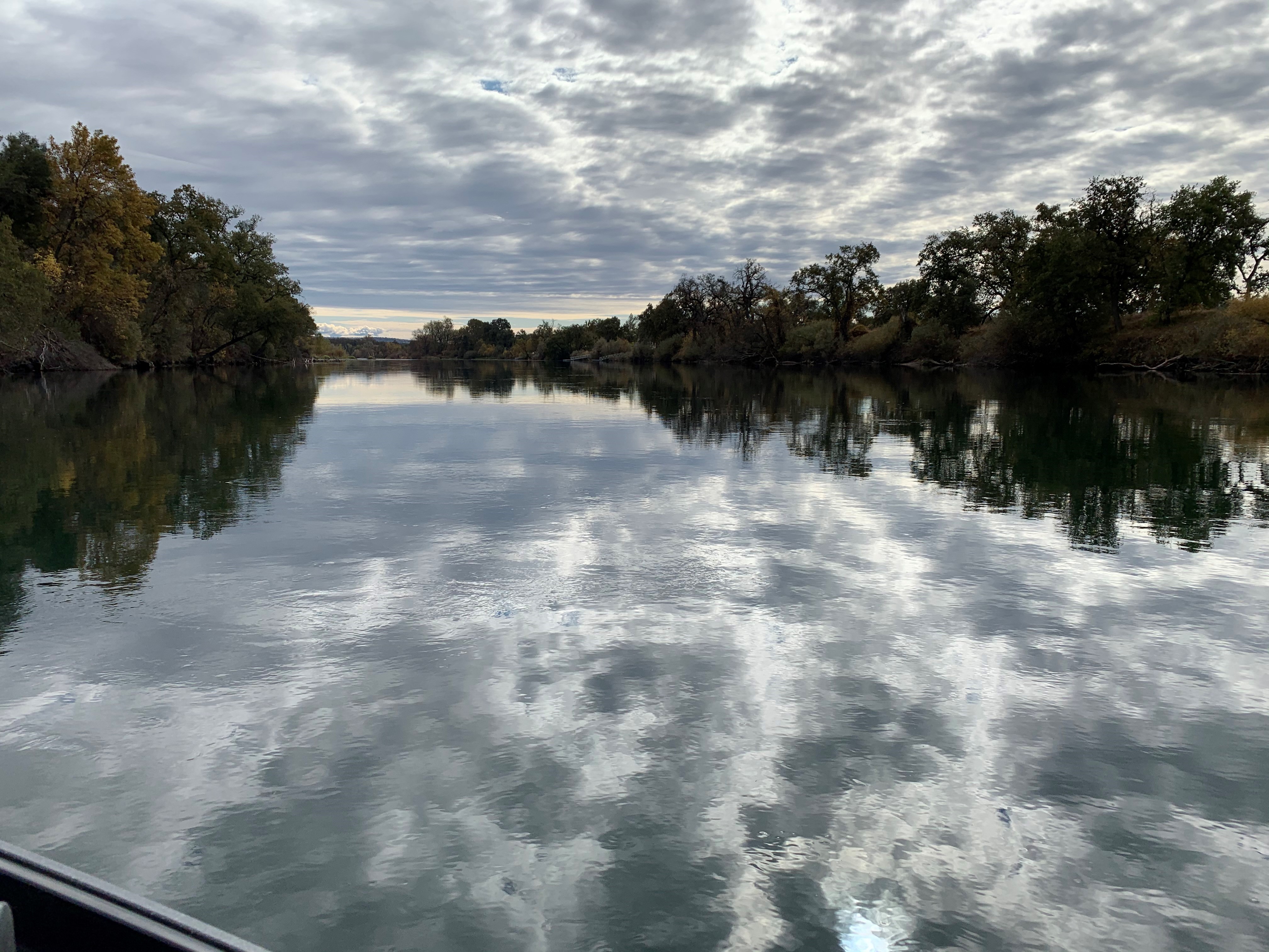 Trinity River Guided Fly Fishing Trips